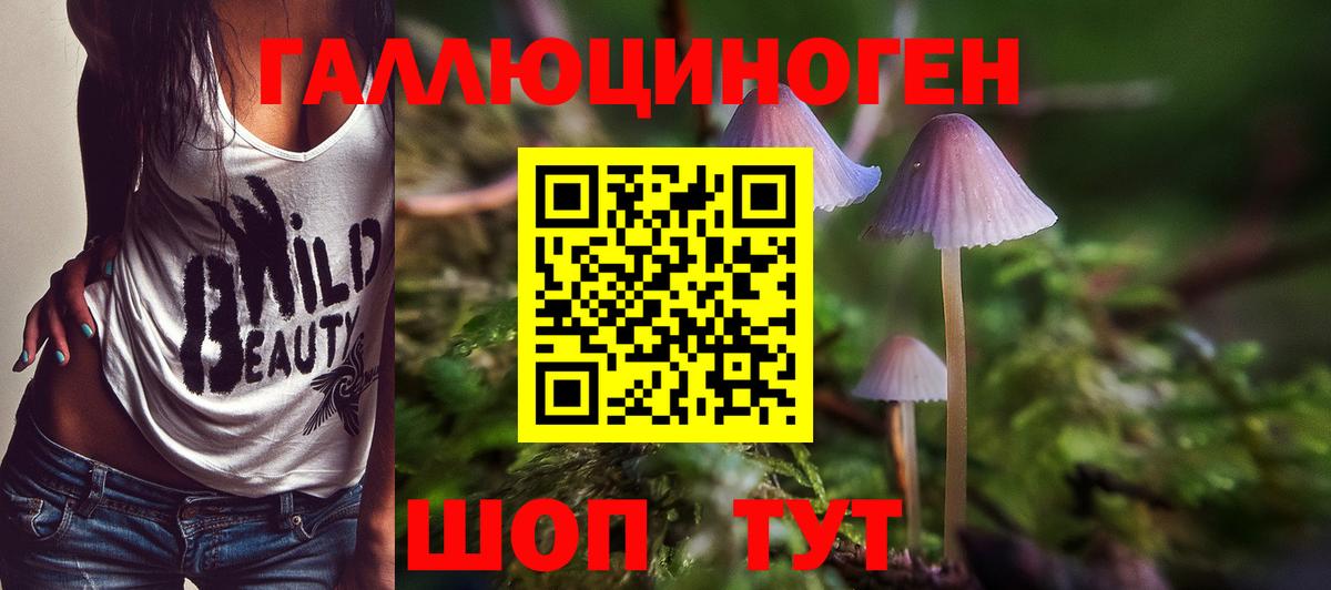 Псилоцибиновые грибы Magic Shrooms Елец